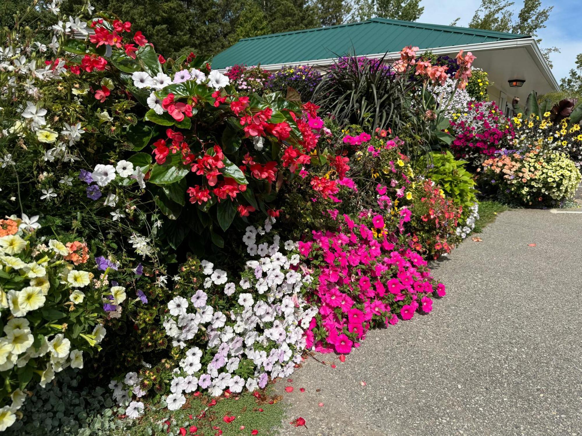 Sunset Motel At Armand'S Gardens Saint Ignace Exterior photo