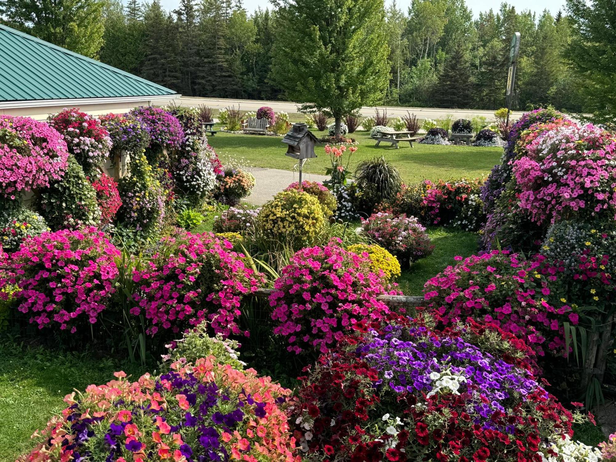 Sunset Motel At Armand'S Gardens Saint Ignace Exterior photo
