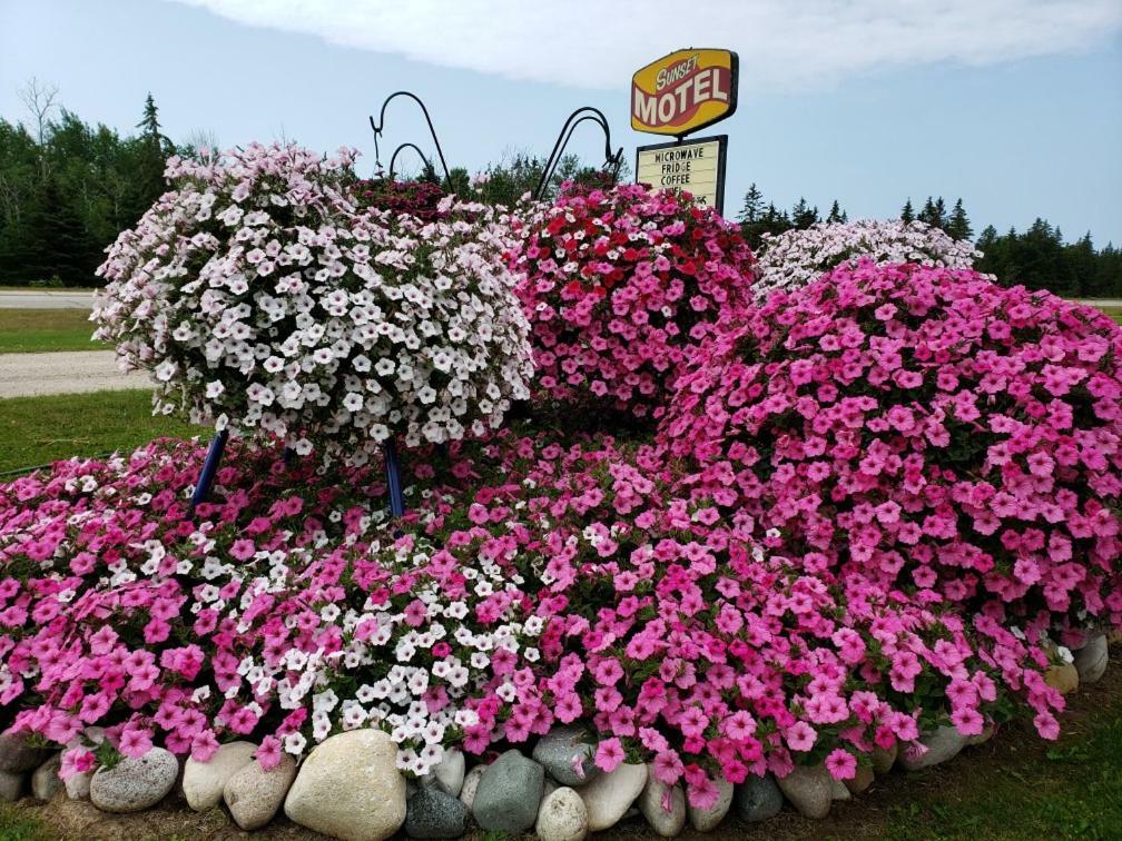 Sunset Motel At Armand'S Gardens Saint Ignace Exterior photo
